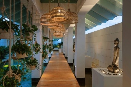 Melia Punta Cana Beach Resort - 245