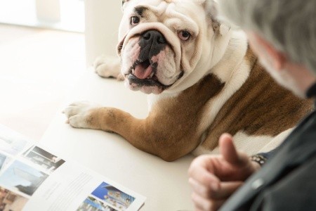 Paradisus Grand Cana - All Suites - 259