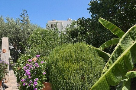 Bali Dorian Apartments - 30