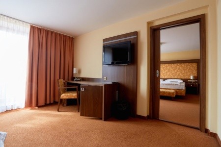 Wellness Hotel Energetic (Rožnov Pod Radhošťem) - 8