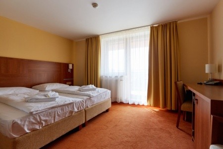 Wellness Hotel Energetic (Rožnov Pod Radhošťem) - 3