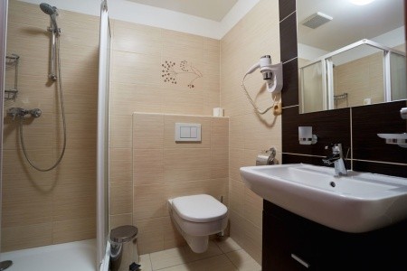 Wellness Hotel Energetic (Rožnov Pod Radhošťem) - 12