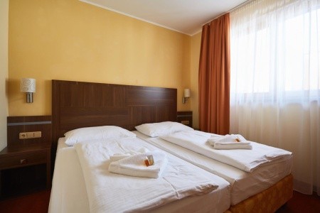 Wellness Hotel Energetic (Rožnov Pod Radhošťem) - 6