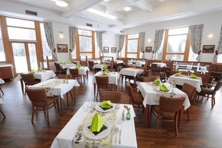 Wellness Hotel Energetic (Rožnov Pod Radhošťem) - 18