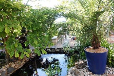 Vilka Podhájčanka - 25