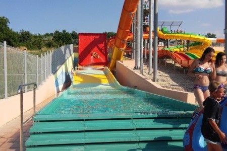 Vilka Podhájčanka - 29