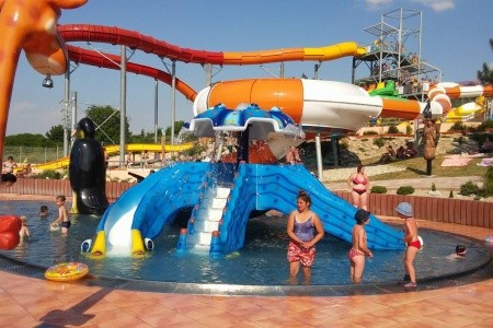 Vilka Podhájčanka - 30