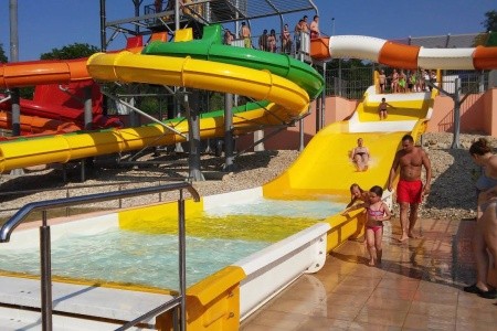 Vilka Podhájčanka - 33