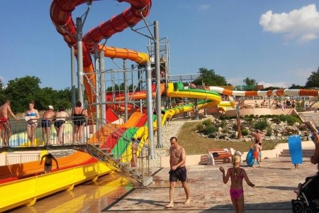 Vilka Podhájčanka - 28