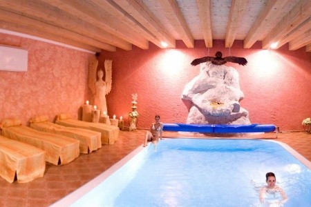 Wellness Hotel Bahenec - 9