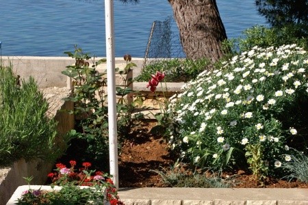 Penzion 3298-45 - 42