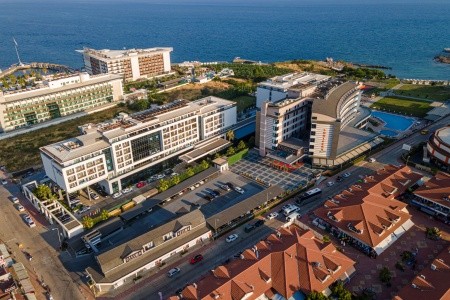 Lonicera Premium - 41