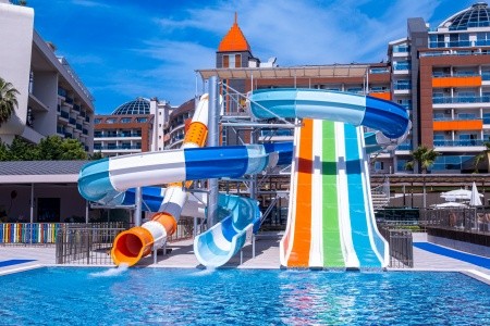 Lonicera Premium - 57