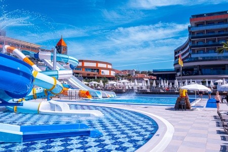 Lonicera Premium - 59