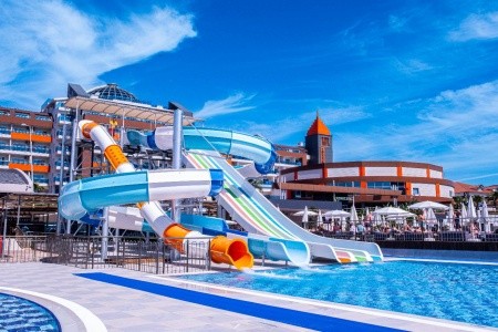 Lonicera Premium - 60