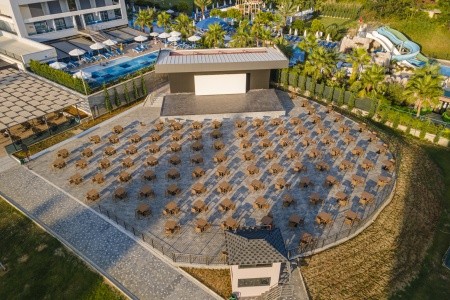 Lonicera Premium - 61