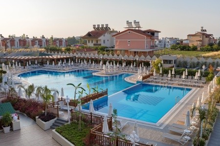 Seashell Vega (Ex. Crown Sunshine) - 5