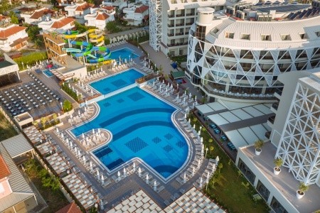 Seashell Vega (Ex. Crown Sunshine) - 7