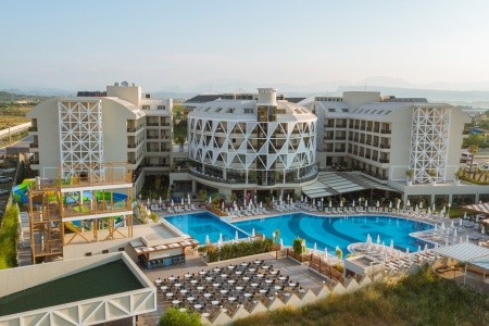 Seashell Vega (Ex. Crown Sunshine) - 9