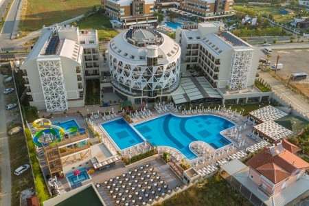 Seashell Vega (Ex. Crown Sunshine) - 10