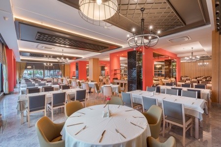 Seashell Vega (Ex. Crown Sunshine) - 21