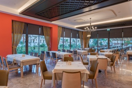 Seashell Vega (Ex. Crown Sunshine) - 24