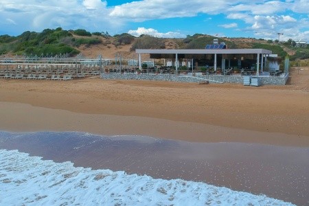 Seashell Vega (Ex. Crown Sunshine) - 32