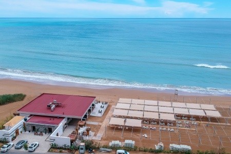 Seashell Vega (Ex. Crown Sunshine) - 34