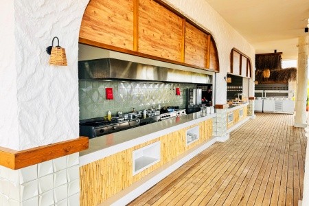 Seashell Vega (Ex. Crown Sunshine) - 36