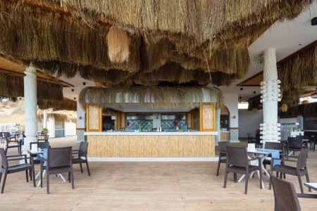 Seashell Vega (Ex. Crown Sunshine) - 38