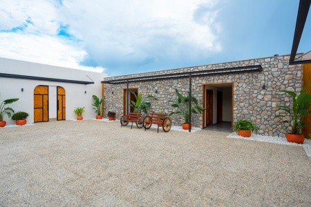 Seashell Vega (Ex. Crown Sunshine) - 39