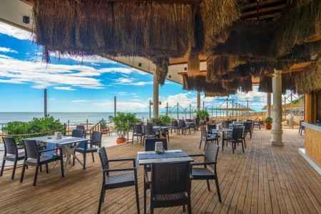 Seashell Vega (Ex. Crown Sunshine) - 40