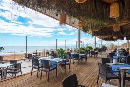 Seashell Vega (Ex. Crown Sunshine) - 41