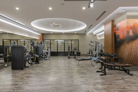 Seashell Vega (Ex. Crown Sunshine) - 44