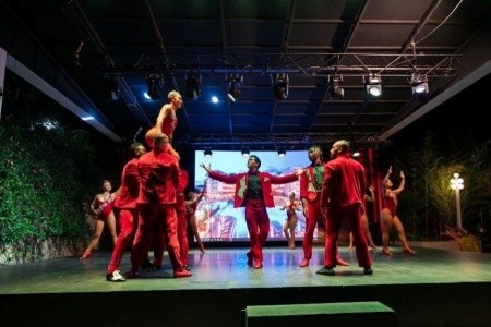 Seashell Vega (Ex. Crown Sunshine) - 45