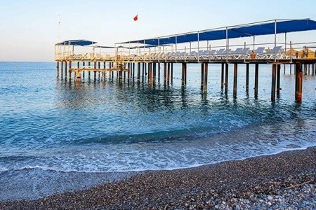 Concordia Celes - 12