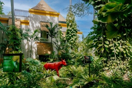 Thajsko Phuket Paradox Resort Phuket (Ex: Mövenpick Resort & Spa Karon Beach Phuket) 13 dňový pobyt Raňajky Letecky Letisko: Viedeň November 2026 (28/11/26-10/12/26)