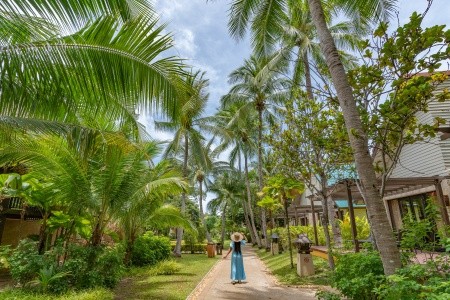 Thajsko Phuket Paradox Resort Phuket (Ex: Mövenpick Resort & Spa Karon Beach Phuket) 13 dňový pobyt Raňajky Letecky Letisko: Viedeň November 2026 (28/11/26-10/12/26)