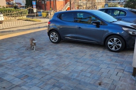 Apartmány 3298-5671 - 45