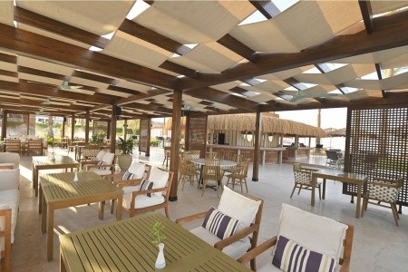 Iberotel Palace - 41