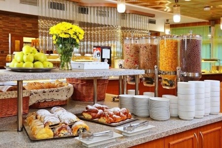 Wellness Hotel Svornost - 9