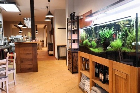 Česká republika Západné Čechy Romania 2 dňový pobyt Raňajky Vlastná July 2026 (16/07/26-17/07/26)