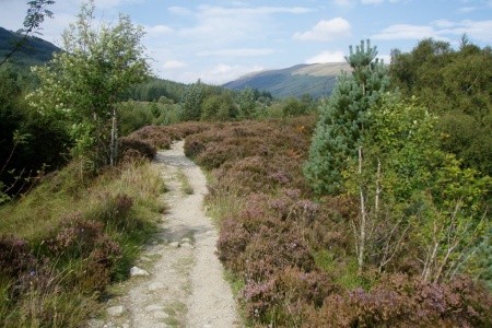 West Highland Way - 82