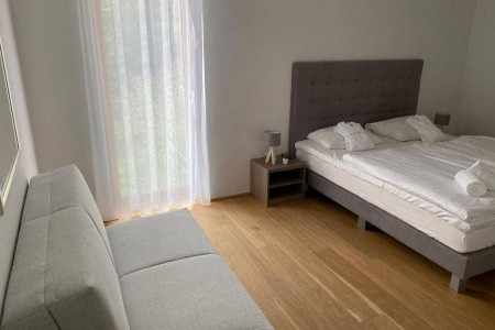 Residence Bellevue By Alpin Rentals - 8