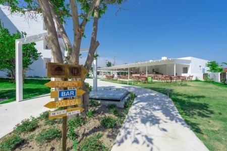 Stamos Hotel (Ex. Stamos Plus) - 11