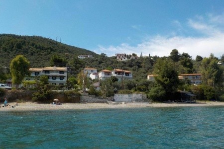 Studia Azalea View