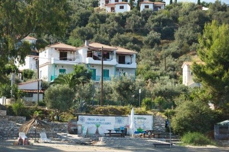 Studia Azalea View