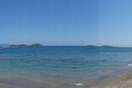 Studia Azalea View