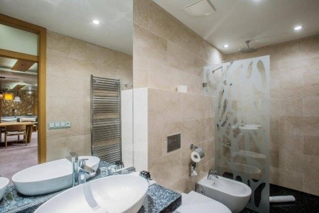 Wellness Hotel Step - 16