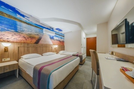 Dream World Aqua - 81